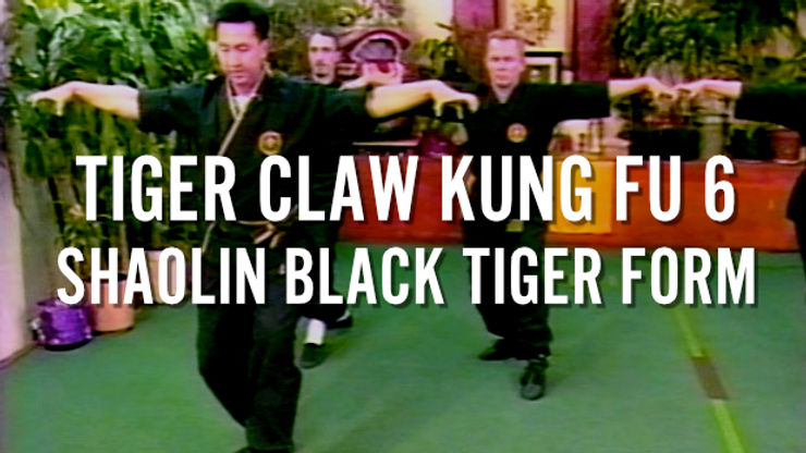 TIGER CLAW KUNG FU 6 - SHAOLIN BLACK TIGER FORM - MASTER TAK WAH ENG